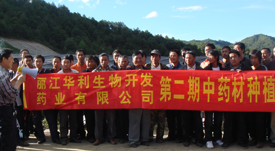 麗江華利生物開發藥業有限公司第二期藥材種植培訓