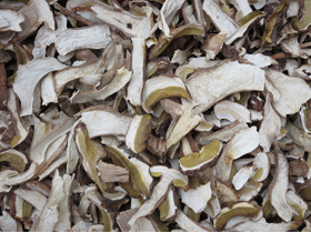 牛肝菌  DRIED BOLETUS EDULIS