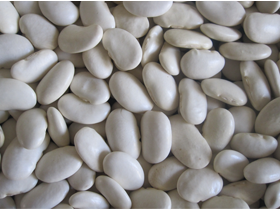 大白蕓豆 LARGE WHITE KIDNEY BEANS